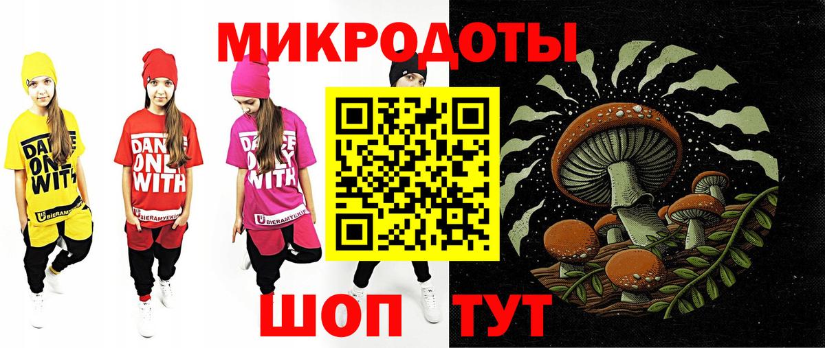 Псилоцибиновые грибы Psilocybine cubensis Шуя