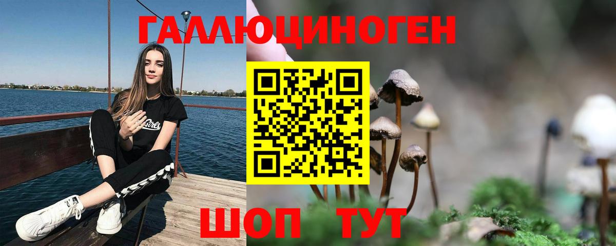 Галлюциногенные грибы мухоморы  Псилоцибиновые грибы Psilocybe  Шуя  Вход с VPN 
